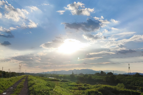 2026年优势特色产业集群、农业产业强镇推荐遴选结果公示