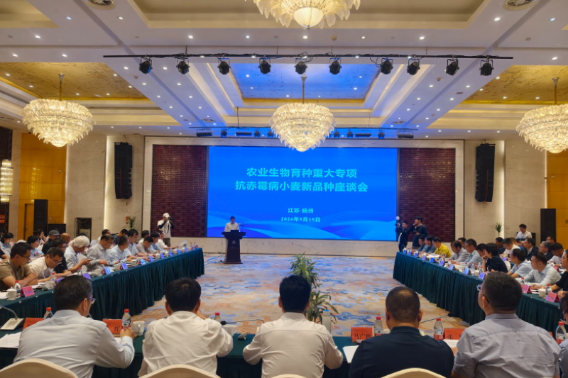农业生物育种重大专项小麦领域标志性成果观摩座谈会在扬举办