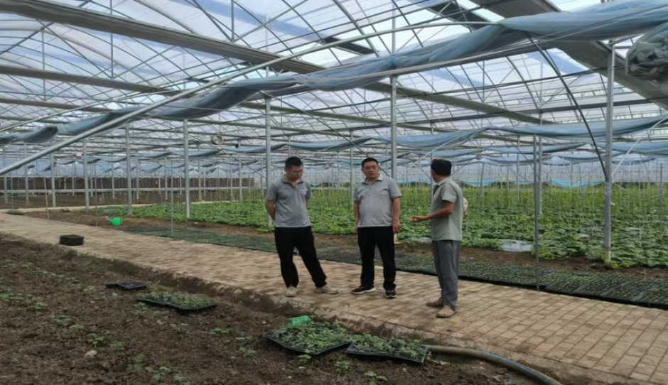 江苏亚夫科技服务下沉基地 精准赋能果菜绿色高效种植