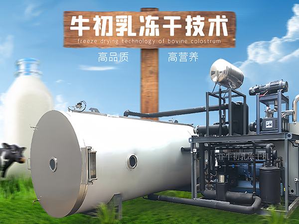 冷冻干燥机|冻干机|真空冷冻干燥机|大型冷冻干燥机|食品冻干机|制药真空冷冻干燥机|食品冻干设备|制药冷冻干燥机 冷冻干燥机|冻干机|真空冷冻干燥机|大型冷冻干燥机|食品冻干机|制药真空冷冻干燥机|食品冻干设备|制药冷冻干燥机